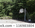basketball court 116983804