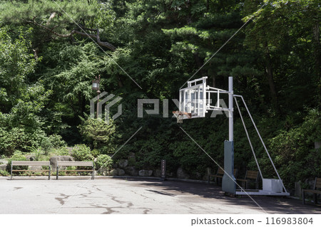 basketball court 116983804