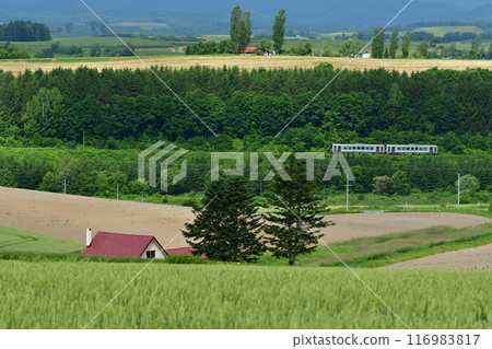 紅色屋頂的房子和富良野線上行駛的火車 116983817