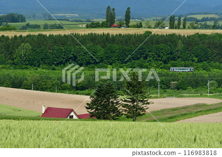 紅色屋頂的房子和富良野線上行駛的火車 116983818