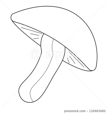 Simple and fun mushroom coloring page for kids. Perfect for educational activities, nature-themed projects, and creative coloring fun. 116983880