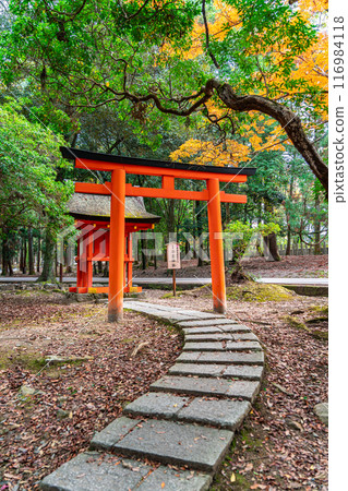 [Nara Prefecture] Ukigumo Shrine surrounded by lush nature 116984118