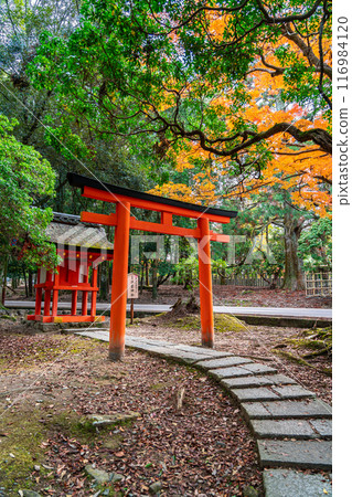 [Nara Prefecture] Ukigumo Shrine surrounded by lush nature 116984120