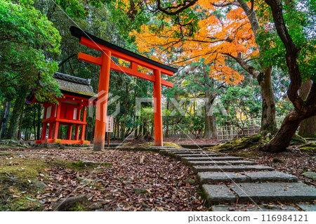 [Nara Prefecture] Ukigumo Shrine surrounded by lush nature 116984121