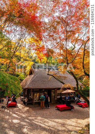 [奈良縣]奈良公園的水穀茶屋被明亮的秋葉包圍 116984131