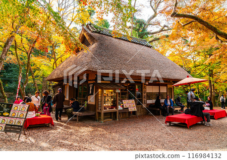 [Nara Prefecture] Mizutani Chaya in Nara Park surrounded by vibrant autumn foliage 116984132