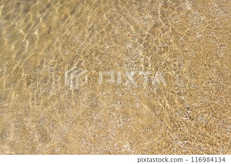 美麗且高度透明的海水 美麗且高度透明的海水 116984134