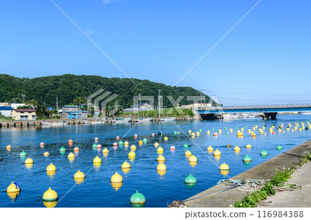 Eastern Hokkaido Fishing Port Chirippu Fishing Port 116984388
