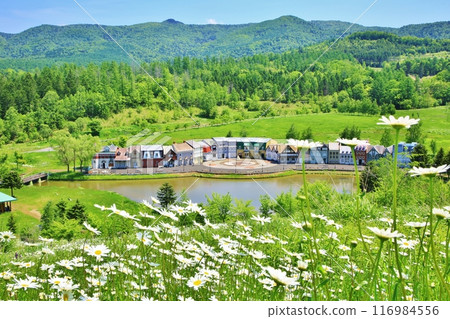 Canadian world 116984556