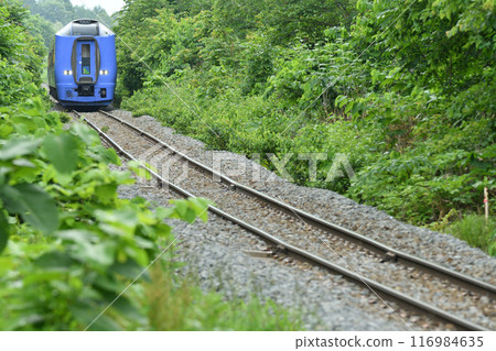 特急列車從鹽放峠駛來 116984635