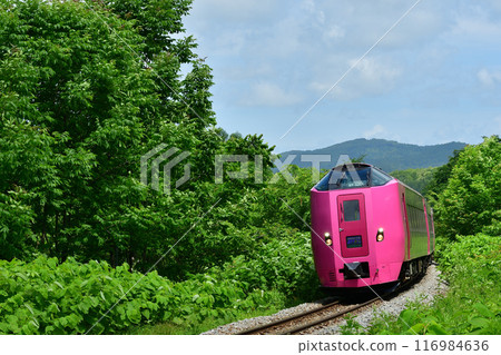 The Hamanasu formation of the express train "Sarobetsu" climbing Shiokari Pass 116984636