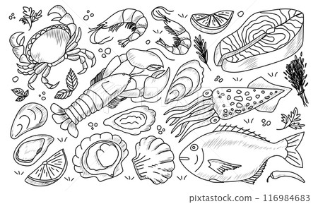 Hand drawn seafood. Sketch salmon, squid, crab, lobster, mussel, oyster, seashell. 116984683