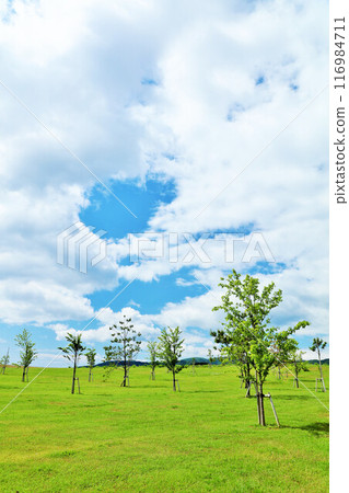 Iwate Prefecture Rikuzentakata Blue Sky Park 116984711