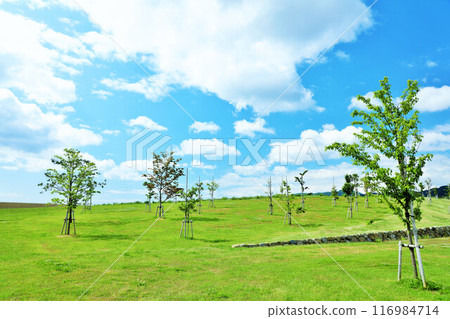 岩手縣陸前高田藍天公園 116984714