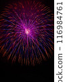 開花在夜空的煙花 116984761