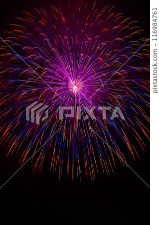 開花在夜空的煙花 116984761