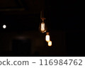 在黑暗中的燈泡 116984762