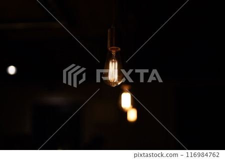 在黑暗中的燈泡 116984762