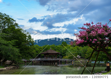 2024年夏季 奈良公園鷺池浮禦堂夜景 從鷺池北側眺望大文字山① 116984771