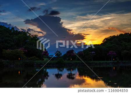 Summer 2024 Evening view of Sagiike Ukimido in Nara Park - Monster-like cumulonimbus clouds and sunset sky➈ Summer 2024 Evening view of Sagiike Ukimido in Nara Park - Monster-like cumulonimbus clouds and sunset sky➈ 116984850