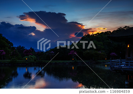 Summer 2024 Evening view of Sagiike Ukimido in Nara Park - A monster-like cumulonimbus cloud covering the western sky② Summer 2024 Evening view of Sagiike Ukimido in Nara Park - A monster-like cumulonimbus cloud covering the western sky② 116984859
