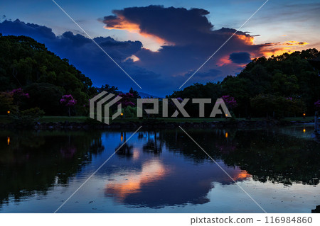 Summer 2024 Evening view of Sagiike Ukimido in Nara Park - A monster-like cumulonimbus cloud covering the western sky③ Summer 2024 Evening view of Sagiike Ukimido in Nara Park - A monster-like cumulonimbus cloud covering the western sky③ 116984860
