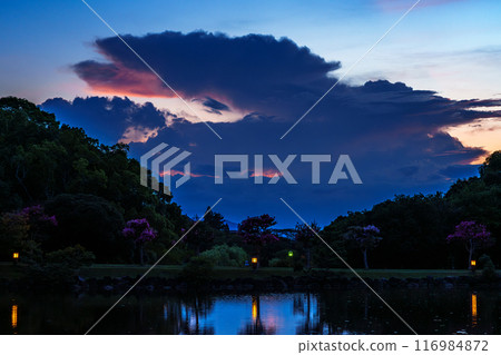 Summer 2024 Nara Park Sagiike Ukimido Evening Scene: Raised cumulonimbus clouds and afterglow③ 116984872