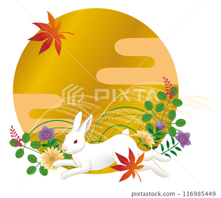 滿月，兔子，蒲葦，秋草，中秋的兔子凝視著月亮。 116985449