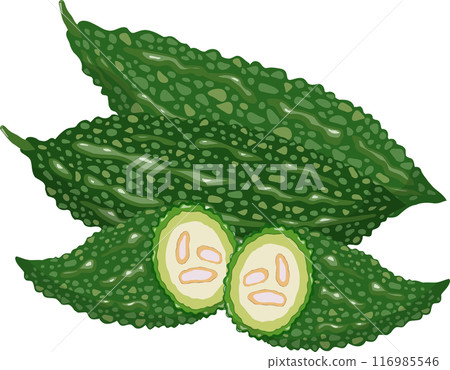 4 bitter melons 4 bitter melons 116985546