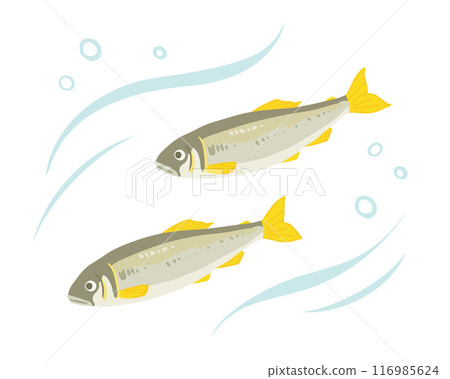 Ayu Illustration 116985624