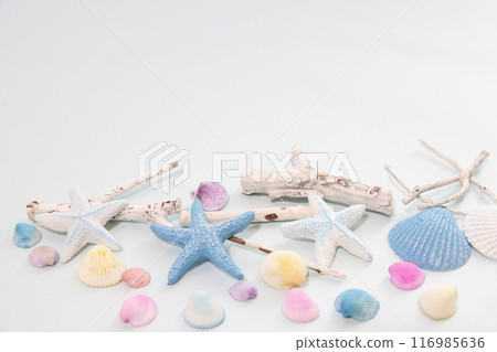 夏季海邊圖像背景 116985636