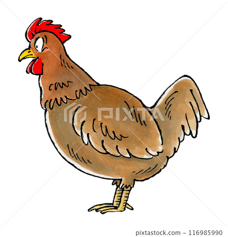 brown chicken 116985990