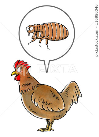 棕色的雞和跳蚤 棕色的雞和跳蚤 116986046
