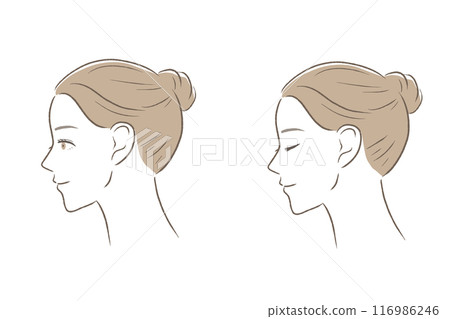 A beautiful woman with updo on her face, profile view 116986246