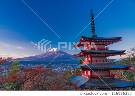 [山梨郡] 新倉山淺間公園、忠塔與新雪富士山的秋天櫻花葉 116986333