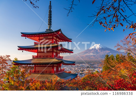 <Yamanashi Prefecture> Cherry blossoms and autumn foliage at Arakurayama Sengen Park, Chureito Pagoda and fresh snow on Mt. Fuji <Yamanashi Prefecture> Cherry blossoms and autumn foliage at Arakurayama Sengen Park, Chureito Pagoda and fresh snow on Mt. Fuji 116986338
