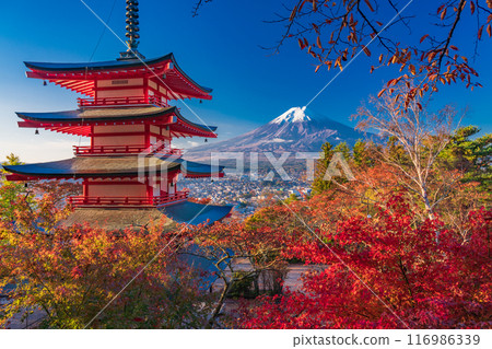 <Yamanashi Prefecture> Cherry blossoms and autumn foliage at Arakurayama Sengen Park, Chureito Pagoda and fresh snow on Mt. Fuji <Yamanashi Prefecture> Cherry blossoms and autumn foliage at Arakurayama Sengen Park, Chureito Pagoda and fresh snow on Mt. Fuji 116986339