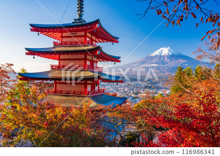 [山梨郡] 新倉山淺間公園、忠塔與新雪富士山的秋天櫻花葉 116986341