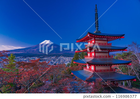 [山梨縣] 新倉山淺間公園、忠靈塔的秋櫻和黎明時分富士山的新雪 116986377