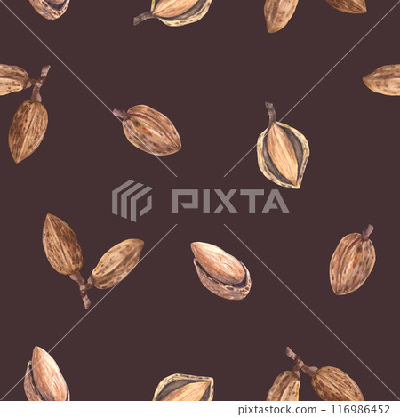 Almonds nut in nutshell Watercolor seamless pattern. Hand painted kernel. Organic vegan Food Healthy harvest, unpeeled stone fruit clipart on isolated dark background for wallpaper, packaging, fabric 116986452