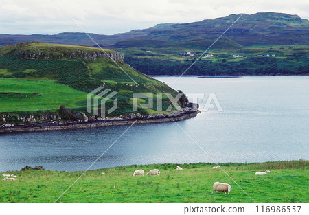 A desolate cove on the Isle of Skye, Scotland (photographed in 2000, negative film) A desolate cove on the Isle of Skye, Scotland (photographed in 2000, negative film) 116986557