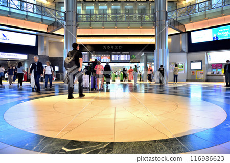 View of the Marunouchi North Exit Dome at Tokyo Station 116986623