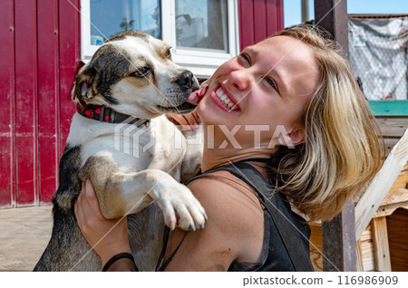 Dog at the shelter. Animal shelter volunteer takes care of dogs. 116986909