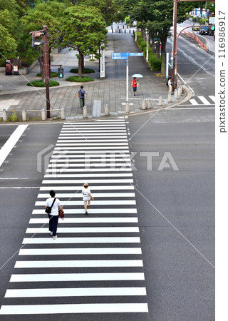 View of Yokohama Minato Mirai Keyaki Street West Intersection View of Yokohama Minato Mirai Keyaki Street West Intersection 116986917