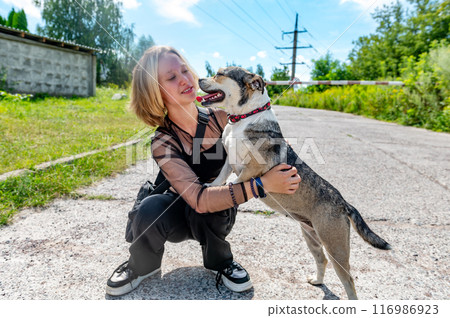 Dog at the shelter. Animal shelter volunteer takes care of dogs. Dog at the shelter. Animal shelter volunteer takes care of dogs. 116986923
