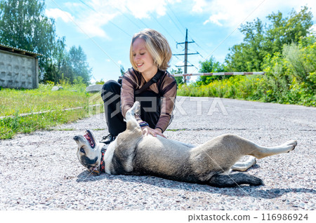 Dog at the shelter. Animal shelter volunteer takes care of dogs. 116986924