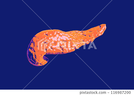 Pancreas, a vibrant orange organ is essential for digestion and blood sugar regulation 116987200