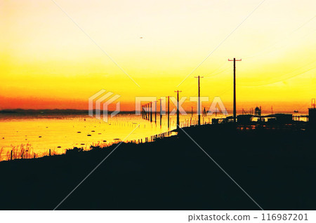 Sunset over the sea 116987201