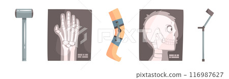Human Bone and Joint Fracture and Rehabilitation Object Vector Set 116987627