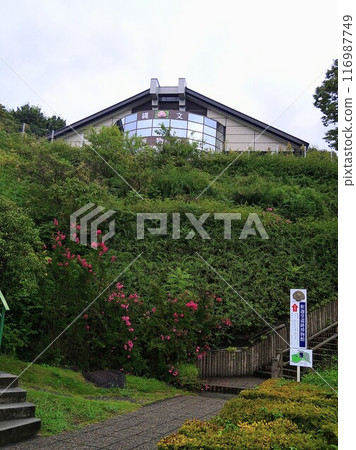 Shakado Ruins Museum 116987749